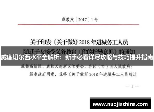 威廉切尔西水平全解析：新手必看详尽攻略与技巧提升指南